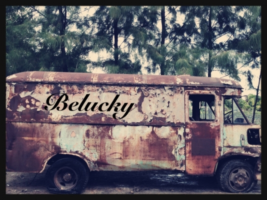 ขายรถตู้ Austin404 รถตู้ใหญ่หายากแห้งๆ