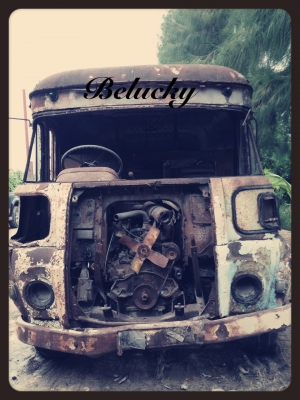 ขายรถตู้ Austin404 รถตู้ใหญ่หายากแห้งๆ