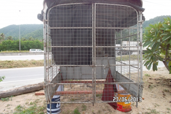 ขายหลังคา Vigo D4D 8500 บาท ขายหลังคา Vigo D4D 8500 บาท