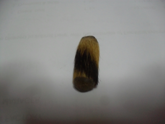 เครื่องรางของขัง