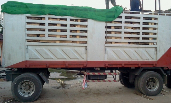 ISUZU FVM 230 แรงม้า ยางเรเดียลไม่มียางใน 18 เส้น