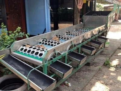 ขายเครื่องคัดส้ม สภาพพร้อมใช้งาน 18,500