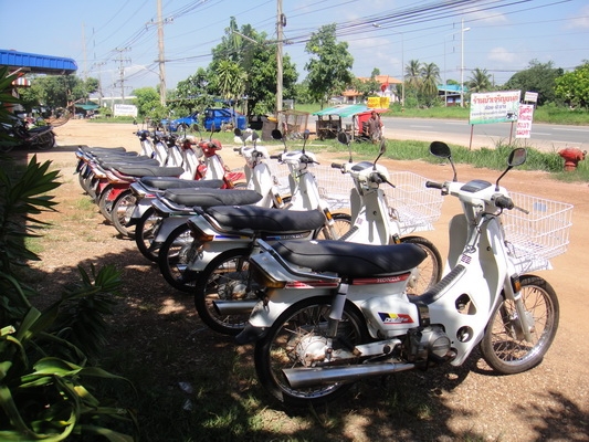 ขายฮอนด้าดรีม คุรุสภา สีขาว สภาพสวยพร้อมใช้งาน (ทะเบียนพร้อมชุดโอน ) ขายฮอนด้าดรีม คุรุสภา สีขาว สภาพสวยพร้อมใช้งาน (ทะเบียนพร้อมชุดโอน )