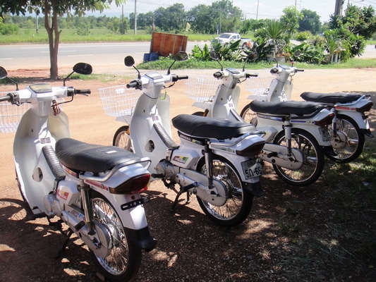 ขายฮอนด้าดรีม คุรุสภา สีขาว สภาพสวยพร้อมใช้งาน (ทะเบียนพร้อมชุดโอน ) ขายฮอนด้าดรีม คุรุสภา สีขาว สภาพสวยพร้อมใช้งาน (ทะเบียนพร้อมชุดโอน )
