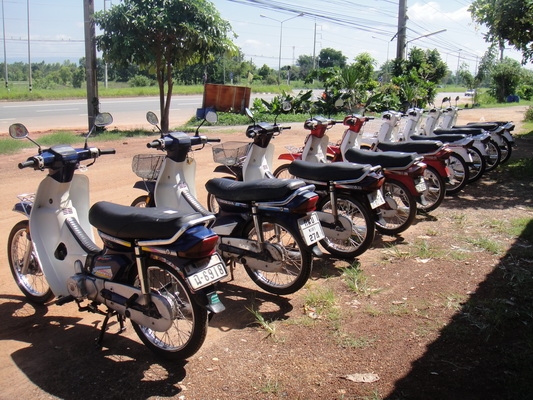 ขายฮอนด้าดรีม คุรุสภา สภาพสวยพร้อมใช้งาน (ทะเบียนพร้อมชุดโอน ) ขายฮอนด้าดรีม คุรุสภา สภาพสวยพร้อมใช้งาน (ทะเบียนพร้อมชุดโอน )