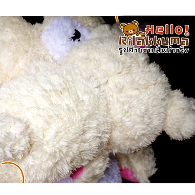 ทุบราคา ตุ๊กตาหมีโคริ คุมะ มีซิปหลัง น่าสะสม Bear Toy Doll