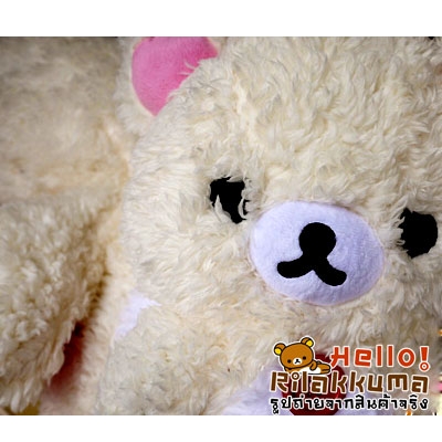 ทุบราคา ตุ๊กตาหมีโคริ คุมะ มีซิปหลัง น่าสะสม Bear Toy Doll
