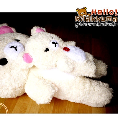 ทุบราคา ตุ๊กตาหมีโคริ คุมะ มีซิปหลัง น่าสะสม Bear Toy Doll