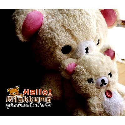 ทุบราคา ตุ๊กตาหมีโคริ คุมะ มีซิปหลัง น่าสะสม Bear Toy Doll