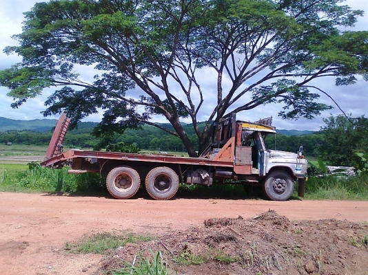 ขายด่วน..รถสิบล้อ เทลเล่อร์ อีซูสุ จดทะเบียนปี 33 เครื่องดี คัสซีสวย ยางสวยทุกเส้น มีเกียร์สโลว์ รถสวยพร้อมใช้งาน มีทะเบียนครบ.