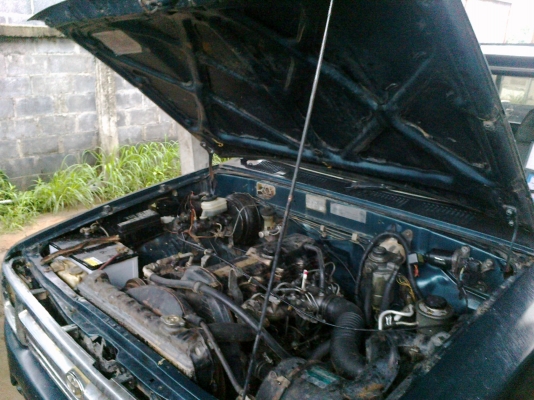 ไมตี้ตอนเดียว