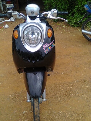 ฟีโน่ปี50 ราคาเบาๆ