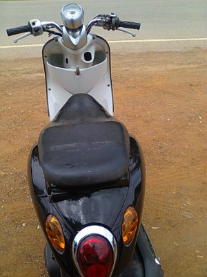 ฟีโน่ปี50 ราคาเบาๆ