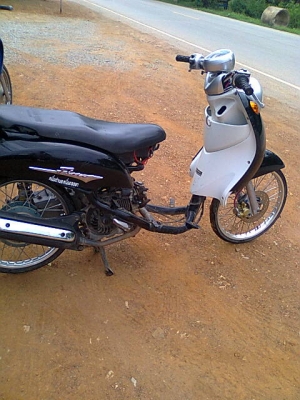 ฟีโน่ปี50 ราคาเบาๆ