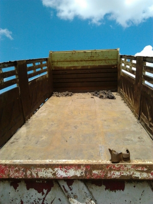 ***ขายแล้วครับขอบคุณ Truck2handขาย กระบะเหล็กดั๊มดิน พร้อมอุปกรณ์ครบชุด  สภาพดี วางไอ้หลงTD อยู่ พื้นดีข้างดีไม่มีผุ คัสซีสวย พร้อมใช้งาน ราคาต่อรองได้ครับ