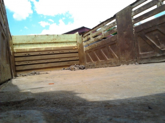 ***ขายแล้วครับขอบคุณ Truck2handขาย กระบะเหล็กดั๊มดิน พร้อมอุปกรณ์ครบชุด  สภาพดี วางไอ้หลงTD อยู่ พื้นดีข้างดีไม่มีผุ คัสซีสวย พร้อมใช้งาน ราคาต่อรองได้ครับ