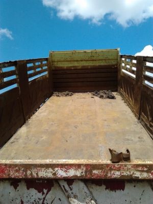 ***ขายแล้วครับขอบคุณ Truck2handขาย กระบะเหล็กดั๊มดิน พร้อมอุปกรณ์ครบชุด  สภาพดี วางไอ้หลงTD อยู่ พื้นดีข้างดีไม่มีผุ คัสซีสวย พร้อมใช้งาน ราคาต่อรองได้ครับ