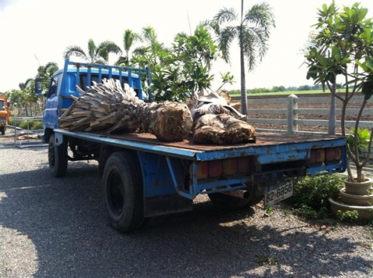 6 ล้อพื้นเรียบ  jcm ยาง 900-20 ต่อรองได้สู้เท่าไหร่ จัดให้