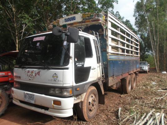 ขายด่วนรถสิบล้อFL1761เพลาไมดรั้มเครือง185แรงม้า