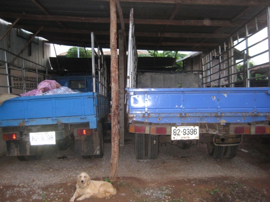 -ขายเป็นคู๋หกล้อNPR115+หนุ่มทางหลวง -ขายเป็นคู๋หกล้อNPR115+หนุ่มทางหลวง