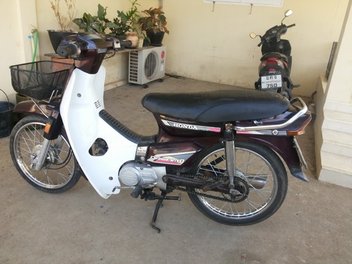 ขาย honda drem 100 ครับ
