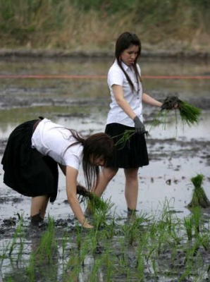 บริการซ่อมรถเกี่ยวข้าว ทุกชนิด ปะผุ ซ่อม เปลี่ยนอะไหร่ แต่ง เเปลง คืนสภาพ ทำสี  ตามต้องการ ราคากันเองที่สุด ปรึกษาเราได้ก็ทำมาแล้ว สิบกว่าคัน เหลือคันหนึ่งจะเสร็จ เราไม่รับรถมารอ ทำเสร็จค่อยรับมาทำต่อ