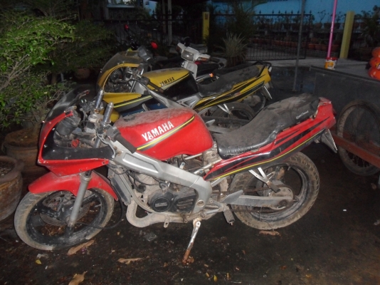 เพื่อนฝากขาย TZM