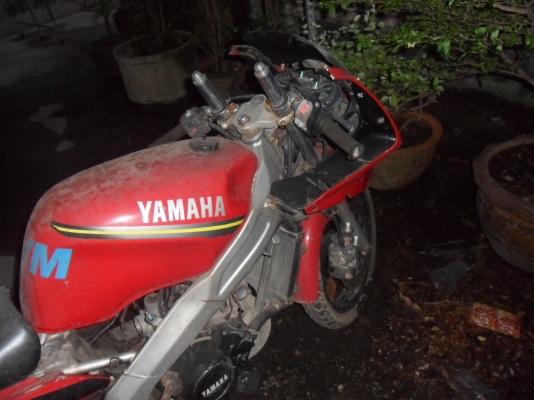 เพื่อนฝากขาย TZM