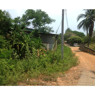 ขายที่ดินเปล่า ทำเลดี ราคาถูกมาก ที่สันป่าตอง เชียงใหม่