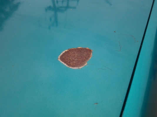 ขาย แดวู DAEWOO เครื่องเดิม สีเดิม สภาพดี ขับได้ พร้อมโอน ขาย แดวู DAEWOO เครื่องเดิม สีเดิม สภาพดี ขับได้ พร้อมโอน