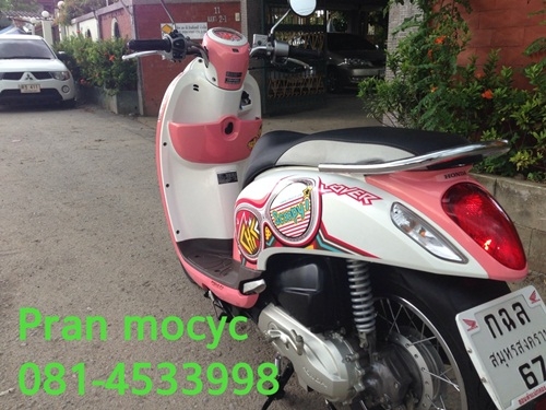 ขาย All new scoopy-i สีชมพูขาว ปี2555 ขาย All new scoopy-i สีชมพูขาว ปี2555