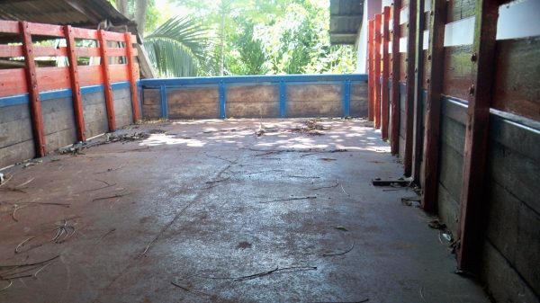 ด่วนๆ 115 แรง ประอบ ด่วนๆ 115 แรง ประอบ