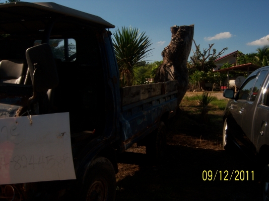 อีแต๋นราคาถูก  มากๆ