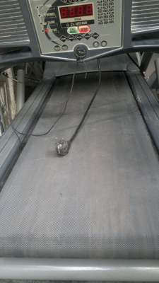 ขายลู่วิ่งไฟฟ้าราคาเบาๆใช้ได้ปรกติ รูปทรงดูดีไม่โบราณ