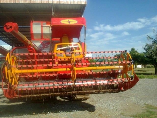 ขายศักดิ์พัฒนา ขายศักดิ์พัฒนา