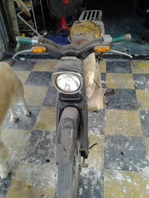 ขายรถสะสม ปี 1960 ขายรถสะสม ปี 1960