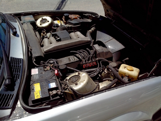 ถ้าหาอยู่ รีบเลย BMW 91 ติดแก๊ส หัวฉีด ถังโดนัท ถ้าหาอยู่ รีบเลย BMW 91 ติดแก๊ส หัวฉีด ถังโดนัท