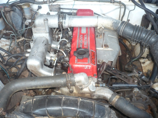 นิสสัน เครื่องแดงเดิมๆ ปี 36 ขายด่วน นิสสัน เครื่องแดงเดิมๆ ปี 36 ขายด่วน