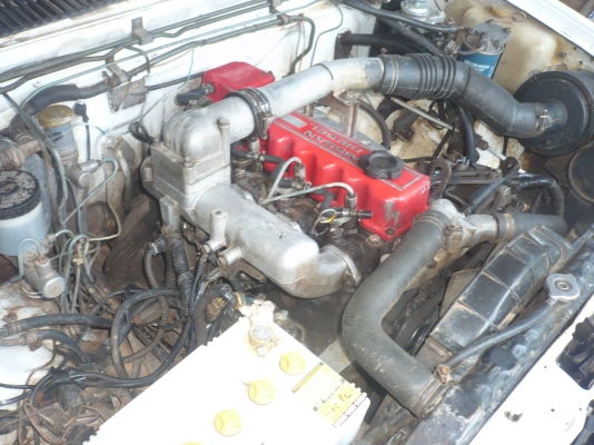 นิสสัน เครื่องแดงเดิมๆ ปี 36 ขายด่วน นิสสัน เครื่องแดงเดิมๆ ปี 36 ขายด่วน