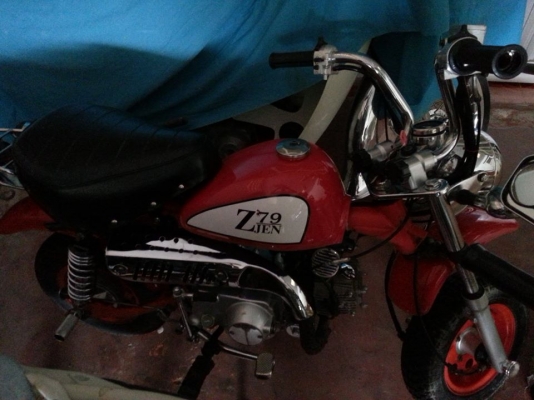 ขายคับบ มังกี้