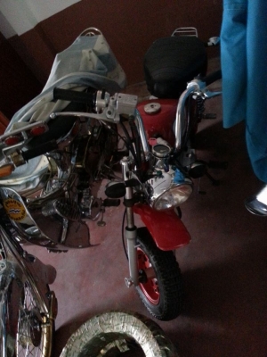 ขายคับบ มังกี้