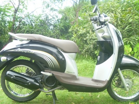 ขายถูก Honda scoopy i หัวฉีด PGM-FI รถจด ก.ค 54