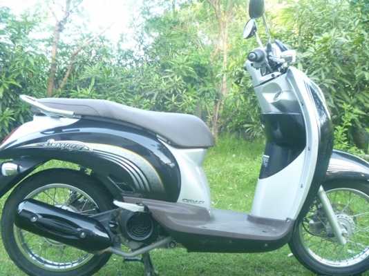 ขายถูก Honda scoopy i หัวฉีด PGM-FI รถจด ก.ค 54