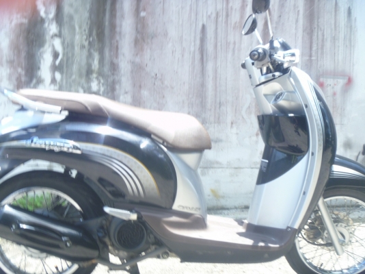 ขายถูก Honda scoopy i หัวฉีด PGM-FI รถจด ก.ค 54