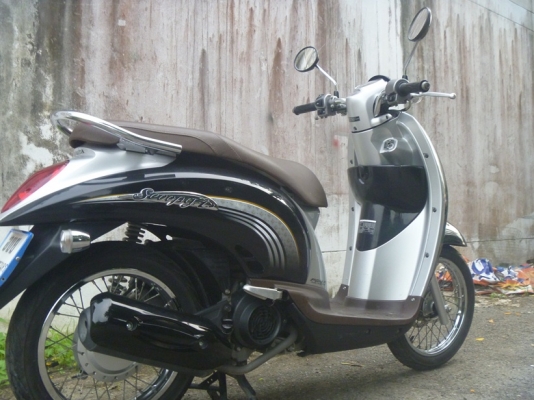 ขายถูก Honda scoopy i หัวฉีด PGM-FI รถจด ก.ค 54