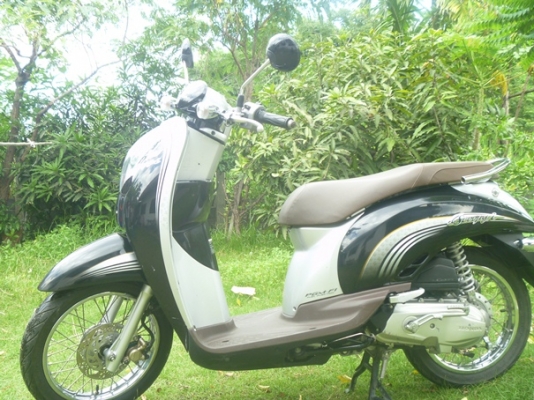 ขายถูก Honda scoopy i หัวฉีด PGM-FI รถจด ก.ค 54