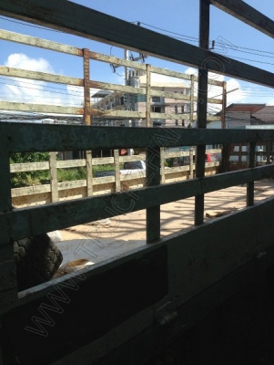 รถบรรทุก 6 ล้อ ยี่ห้อ HINO รุ่น FC2WHLA 120 แรงม้า