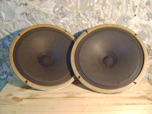 ขายดอกลำโพงฟลูแรนท์ 12 นิ้ว