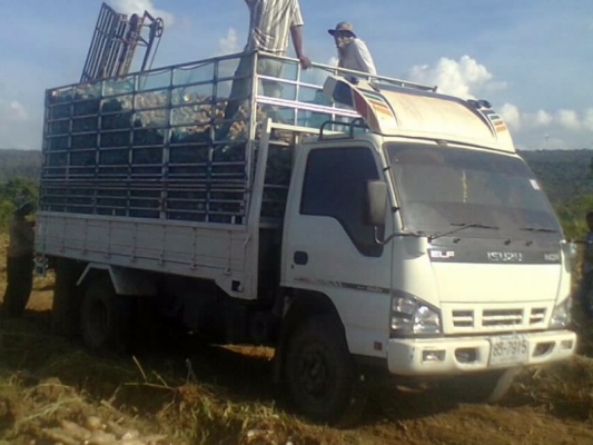 ISUZU NQR 150 HP INTER 4HG1 EURO2 ปี 51 หกล้อกระบะดั๊มพ์คอกเกษตร กระบะดั๊มพ์คอกเหล็ก 6 ตันยาว 4.30 เมตร รถสวยทั้งคันพร้อมใช้งานได้เลย ช่วงล่างแน่นยางสภาพดี เอกสารทะเบียนภาษีครบไม่มีขาดพร้อมโอนครับ