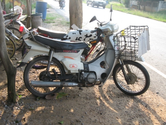 ดรีมคุรุสภา กับคอนคอท